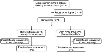 Excitatory Repetitive Transcranial Magnetic Stimulation Induces Contralesional Cortico-Cerebellar Pathways After Acute Ischemic Stroke: A Preliminary DTI Study